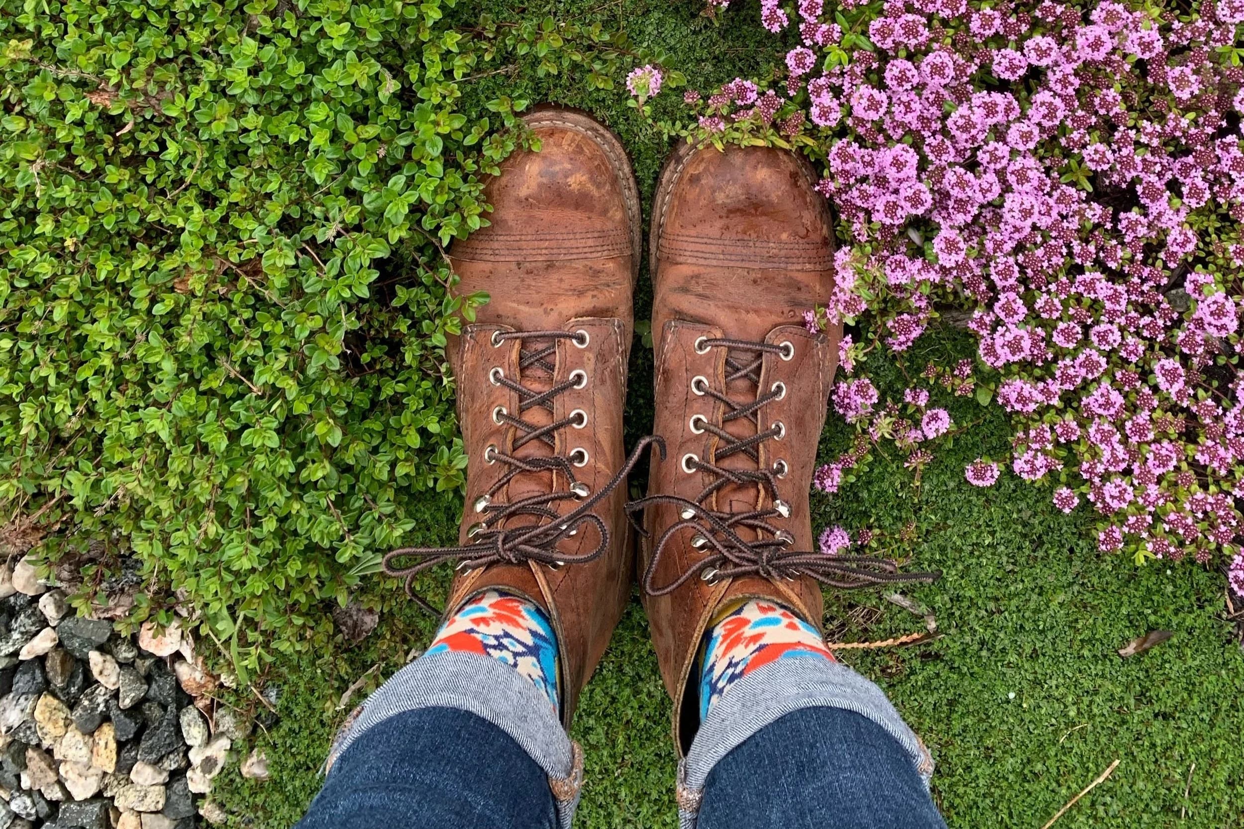 Looking down at a pair of worn leather boots standing on a threshold of creeping thyme in flower, edged with low green groundcover and stone.